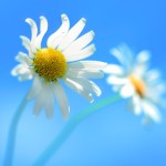 CachedImage_1920_1080_POS4